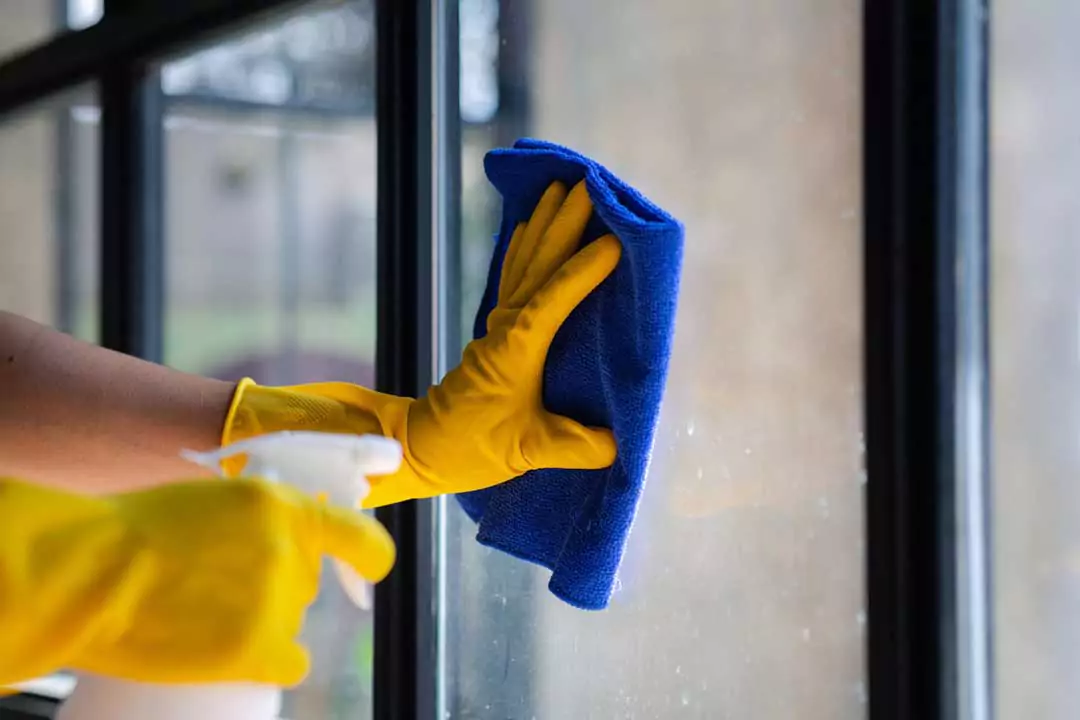 Cleaning, Pest Control and Sanitisation